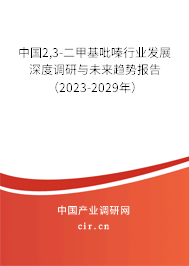 中國2,3-二甲基吡嗪行業(yè)發(fā)展深度調(diào)研與未來趨勢報告（2023-2029年）
