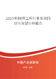 2025年網(wǎng)絡工程行業(yè)發(fā)展回顧與展望分析報告