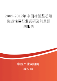 2009-2012年中國(guó)橡塑整芯阻燃運(yùn)輸帶行業(yè)調(diào)研及前景預(yù)測(cè)報(bào)告