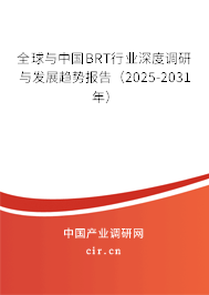 全球與中國(guó)BRT行業(yè)深度調(diào)研與發(fā)展趨勢(shì)報(bào)告（2025-2031年）