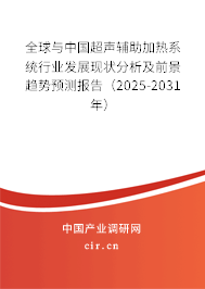 全球與中國(guó)超聲輔助加熱系統(tǒng)行業(yè)發(fā)展現(xiàn)狀分析及前景趨勢(shì)預(yù)測(cè)報(bào)告（2025-2031年）