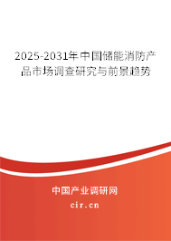 2025-2031年中國儲能消防產(chǎn)品市場調查研究與前景趨勢