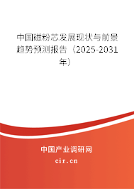 中國磁粉芯發(fā)展現(xiàn)狀與前景趨勢(shì)預(yù)測(cè)報(bào)告（2025-2031年）