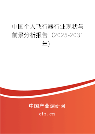 中國個人飛行器行業(yè)現(xiàn)狀與前景分析報告（2025-2031年）