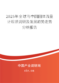 2025年全球與中國(guó)固體流量計(jì)現(xiàn)狀調(diào)研及發(fā)展趨勢(shì)走勢(shì)分析報(bào)告