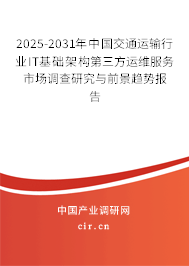 2025-2031年中國交通運輸行業(yè)IT基礎架構第三方運維服務市場調查研究與前景趨勢報告