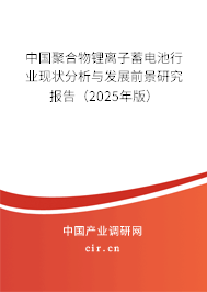 中國聚合物鋰離子蓄電池行業(yè)現(xiàn)狀分析與發(fā)展前景研究報告（2025年版）
