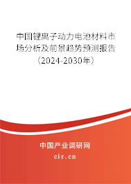 中國鋰離子動(dòng)力電池材料市場分析及前景趨勢預(yù)測報(bào)告（2024-2030年）