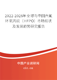 2022-2028年全球與中國六氟環(huán)氧丙烷（HFPO）市場(chǎng)現(xiàn)狀及發(fā)展趨勢(shì)研究報(bào)告