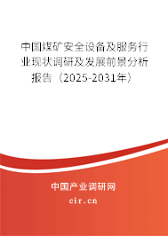 中國(guó)煤礦安全設(shè)備及服務(wù)行業(yè)現(xiàn)狀調(diào)研及發(fā)展前景分析報(bào)告（2025-2031年）