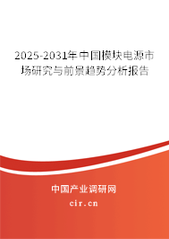 2025-2031年中國模塊電源市場研究與前景趨勢分析報告
