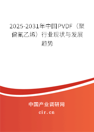 2025-2031年中國PVDF（聚偏氟乙烯）行業(yè)現(xiàn)狀與發(fā)展趨勢