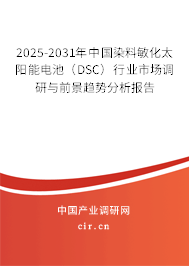 2025-2031年中國染料敏化太陽能電池（DSC）行業(yè)市場調研與前景趨勢分析報告