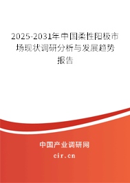 2025-2031年中國(guó)柔性陽(yáng)極市場(chǎng)現(xiàn)狀調(diào)研分析與發(fā)展趨勢(shì)報(bào)告