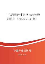 山東原煤行業(yè)分析與趨勢(shì)預(yù)測(cè)報(bào)告（2025-2031年）