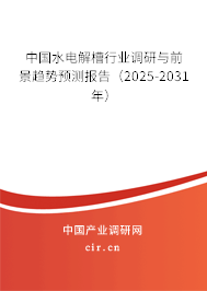 中國水電解槽行業(yè)調研與前景趨勢預測報告（2025-2031年）