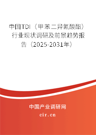 中國TDI（甲苯二異氰酸酯）行業(yè)現(xiàn)狀調(diào)研及前景趨勢報告（2025-2031年）