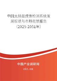 中國太赫茲成像檢測系統(tǒng)發(fā)展現(xiàn)狀與市場前景報告（2025-2031年）