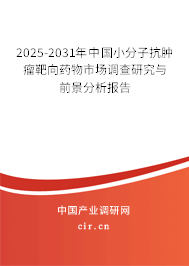 2025-2031年中國(guó)小分子抗腫瘤靶向藥物市場(chǎng)調(diào)查研究與前景分析報(bào)告