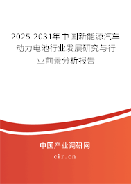 2025-2031年中國新能源汽車動(dòng)力電池行業(yè)發(fā)展研究與行業(yè)前景分析報(bào)告