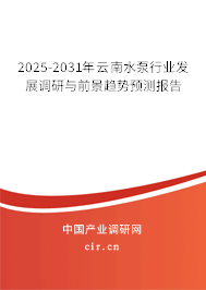 2025-2031年云南水泵行業(yè)發(fā)展調(diào)研與前景趨勢預(yù)測報告