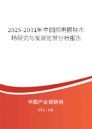 2025-2031年中國照明模塊市場研究與發(fā)展前景分析報(bào)告