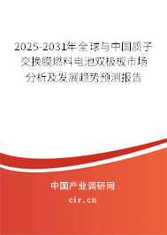 2025-2031年全球與中國(guó)質(zhì)子交換膜燃料電池雙極板市場(chǎng)分析及發(fā)展趨勢(shì)預(yù)測(cè)報(bào)告