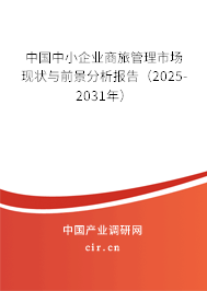 中國中小企業(yè)商旅管理市場現(xiàn)狀與前景分析報告（2025-2031年）