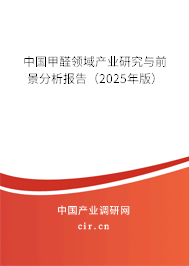 中國甲醛領(lǐng)域產(chǎn)業(yè)研究與前景分析報告（2025年版）