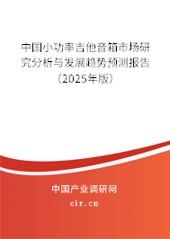 中國小功率吉他音箱市場研究分析與發(fā)展趨勢預測報告（2025年版）