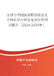 全球與中國氨基胍碳酸氫鹽市場現(xiàn)狀分析及發(fā)展前景預(yù)測報(bào)告（2024-2030年）