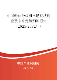 中國粉體分級機市場現(xiàn)狀調(diào)查及未來走勢預(yù)測報告（2025-2031年）