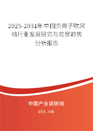 2025-2031年中國(guó)負(fù)離子吹風(fēng)機(jī)行業(yè)發(fā)展研究與前景趨勢(shì)分析報(bào)告