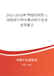 2025-2031年中國甘氨酰-L-酪氨酸市場全面調(diào)研與發(fā)展趨勢報告