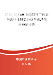 2025-2031年中國鋼鐵廠污染防治行業(yè)研究分析與市場前景預(yù)測(cè)報(bào)告