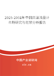2025-2031年中國高溫流量計市場研究與前景分析報告