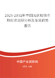2025-2031年中國光伏玻璃市場現(xiàn)狀調(diào)研分析及發(fā)展趨勢報告