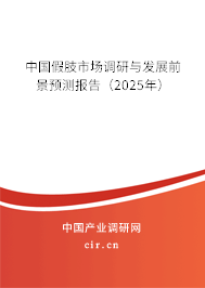 中國假肢市場(chǎng)調(diào)研與發(fā)展前景預(yù)測(cè)報(bào)告（2025年）