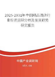 2025-2031年中國精品酒店行業(yè)現(xiàn)狀調(diào)研分析及發(fā)展趨勢研究報告
