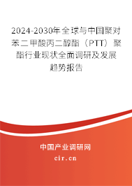 2024-2030年全球與中國聚對苯二甲酸丙二醇酯（PTT）聚酯行業(yè)現(xiàn)狀全面調(diào)研及發(fā)展趨勢報告