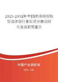 2025-2031年中國絕緣柵雙極型晶體管行業(yè)現(xiàn)狀全面調(diào)研與發(fā)展趨勢報告
