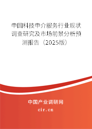 中國科技中介服務(wù)行業(yè)現(xiàn)狀調(diào)查研究及市場前景分析預(yù)測報告（2025版）