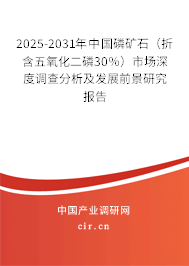 2025-2031年中國(guó)磷礦石（折含五氧化二磷30％）市場(chǎng)深度調(diào)查分析及發(fā)展前景研究報(bào)告