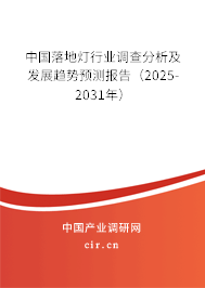 中國落地?zé)粜袠I(yè)調(diào)查分析及發(fā)展趨勢預(yù)測報告（2025-2031年）