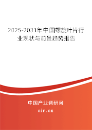 2024-2030年中國螺旋葉片行業(yè)現(xiàn)狀與前景趨勢報告