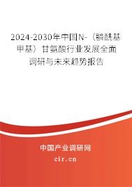 2024-2030年中國N-（膦酰基甲基）甘氨酸行業(yè)發(fā)展全面調(diào)研與未來趨勢報告