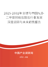2025-2031年全球與中國N,O-二甲基羥胺鹽酸鹽行業(yè)發(fā)展深度調(diào)研與未來趨勢報(bào)告