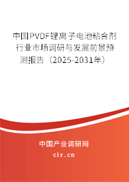 中國(guó)PVDF鋰離子電池粘合劑行業(yè)市場(chǎng)調(diào)研與發(fā)展前景預(yù)測(cè)報(bào)告（2024-2030年）