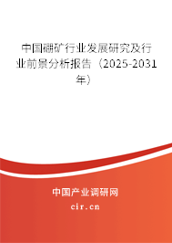 中國硼礦行業(yè)發(fā)展研究及行業(yè)前景分析報告（2025-2031年）