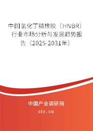 中國氫化丁腈橡膠（HNBR）行業(yè)市場分析與發(fā)展趨勢報(bào)告（2025-2031年）